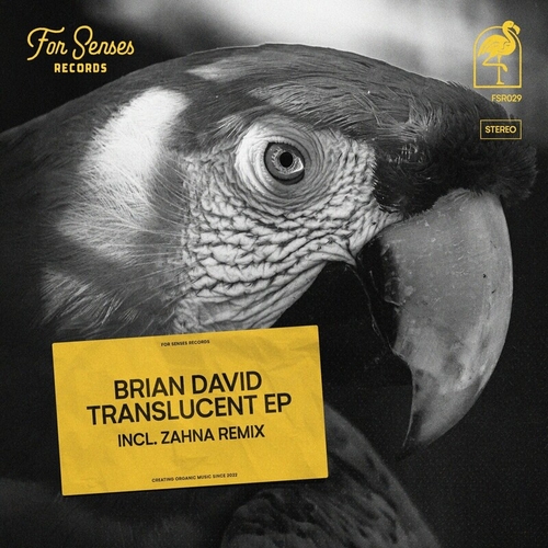 Brian David - Translucent [FSR029]